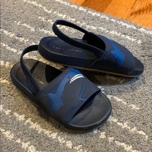 Hannah Anderson slides